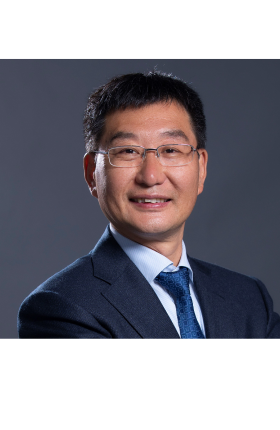Prof Licheng SUN