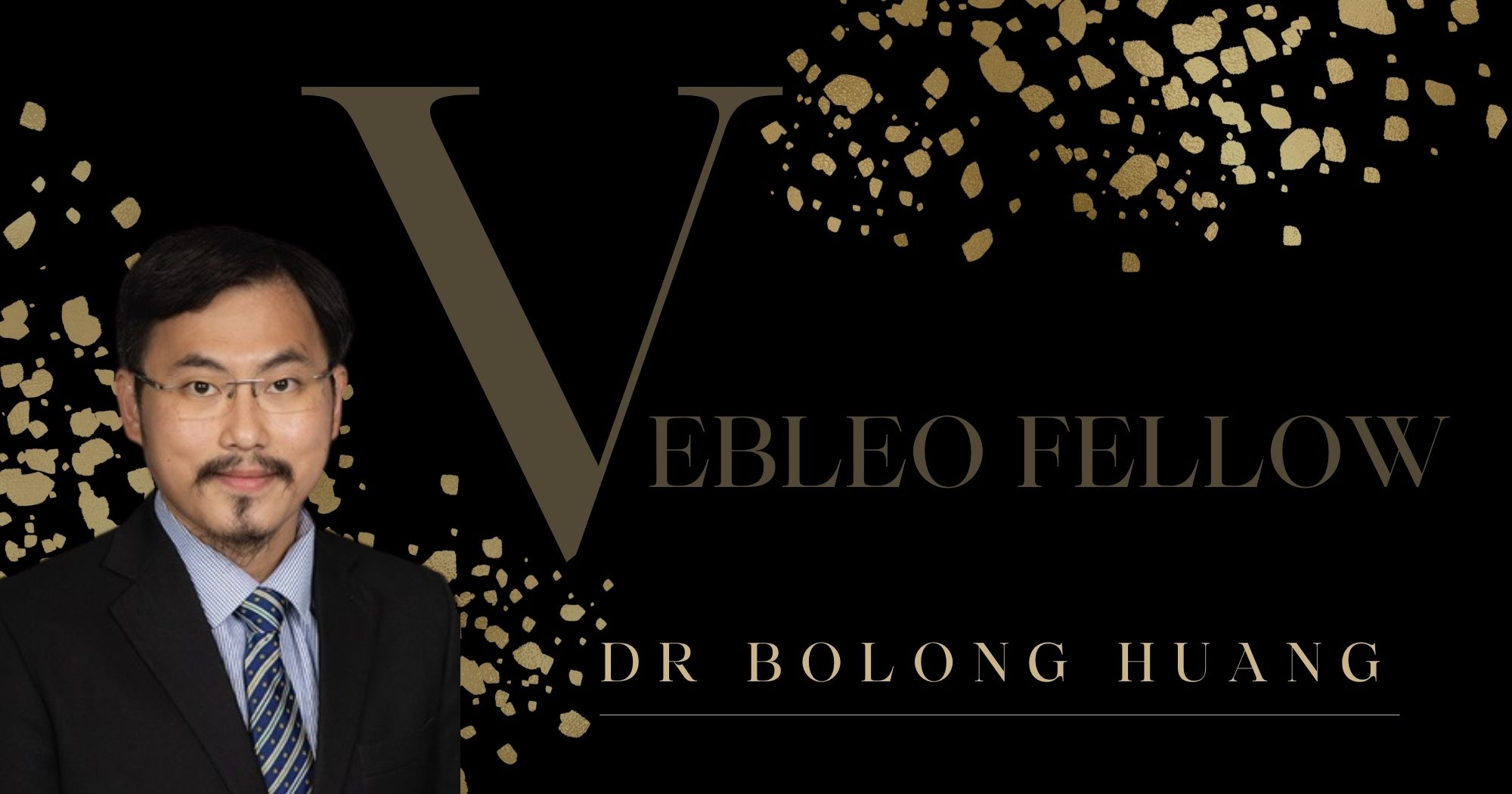 Dr Bolong HUANG, Our RISE Member is Recognized as Vebleo Fellow Otto
