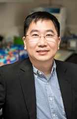 Prof. Mo Yang