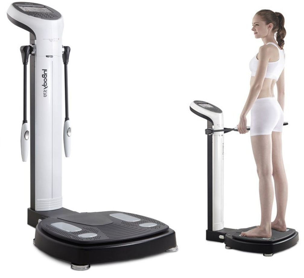 Body composition assessment