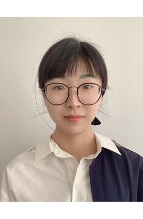 Dr WEI Wei