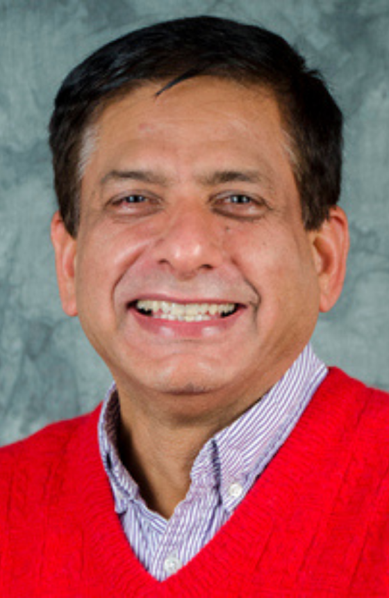 Prof. Virender K. SHARMA