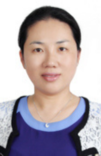 Prof. Rui LIN
