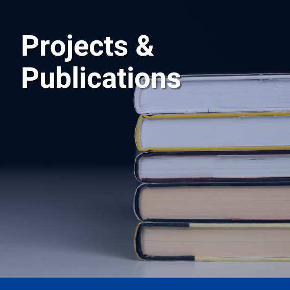 8-Projects and Publications