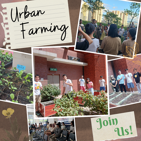 Urban Farming