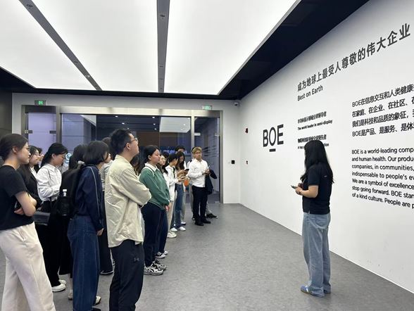 CareerExplorationProgramme_06