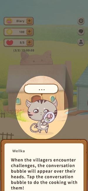 Game instructions 13