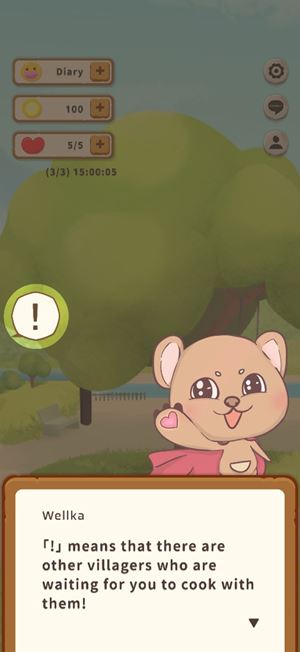 Game instructions 14