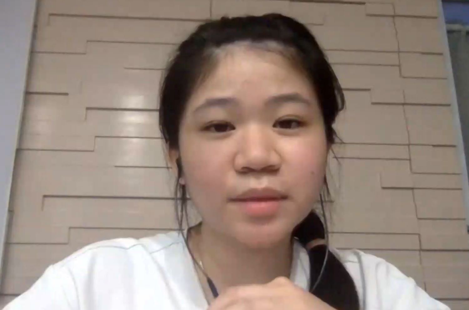 Online Alumni Career Sharing Night 2020_3