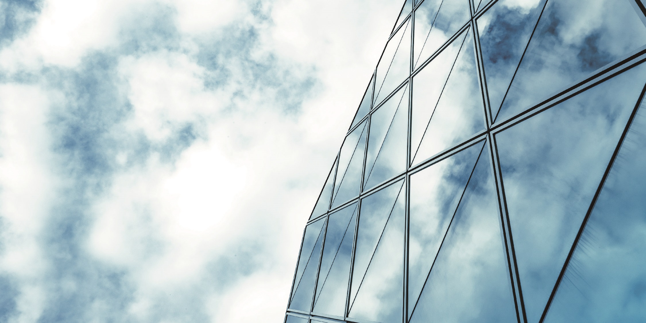 Local Internship Programme