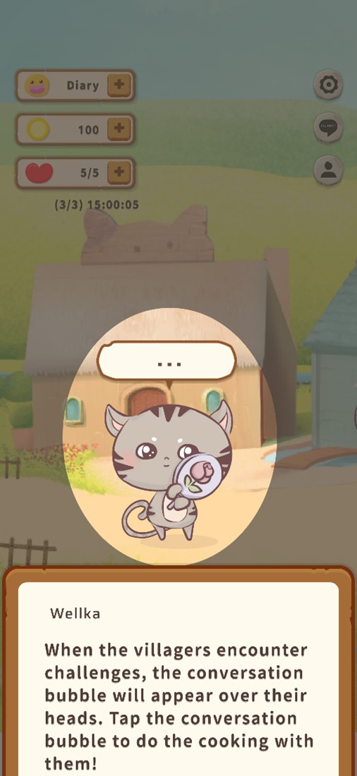 Game instructions 13