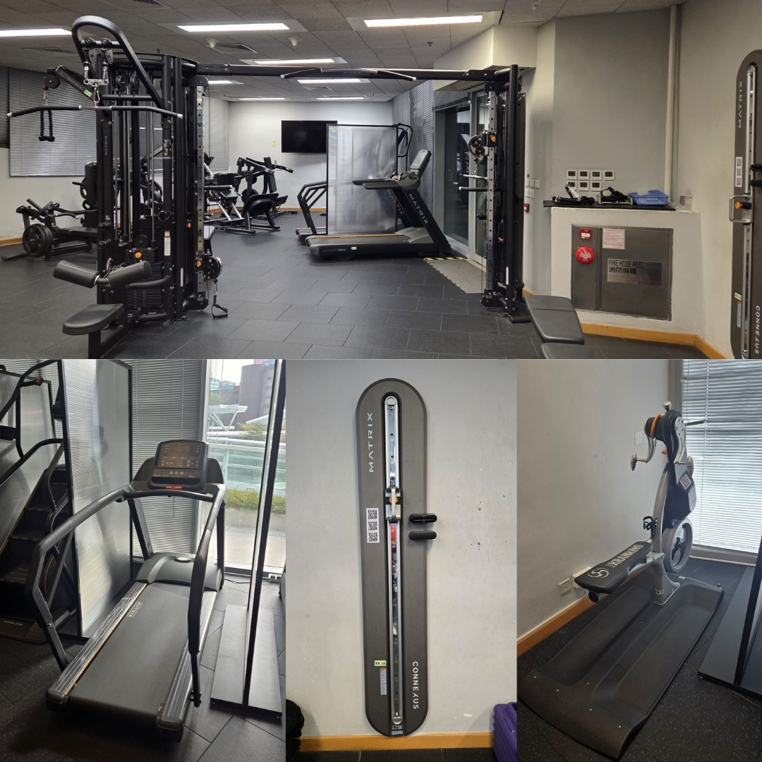 X202 Inclusive fitness equipment