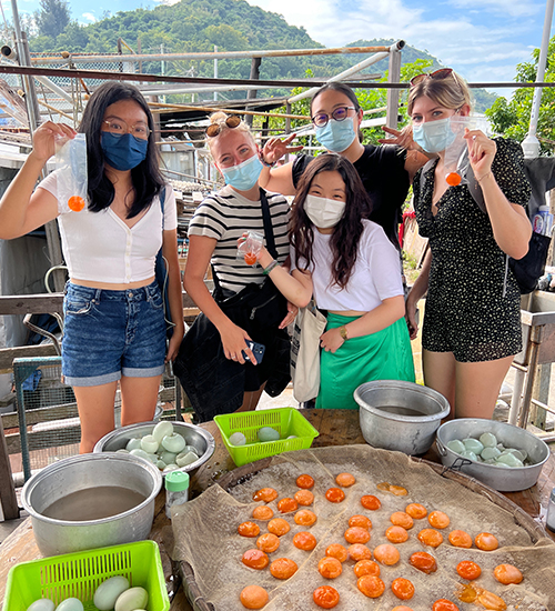 Exploring Hong Kong 500x550