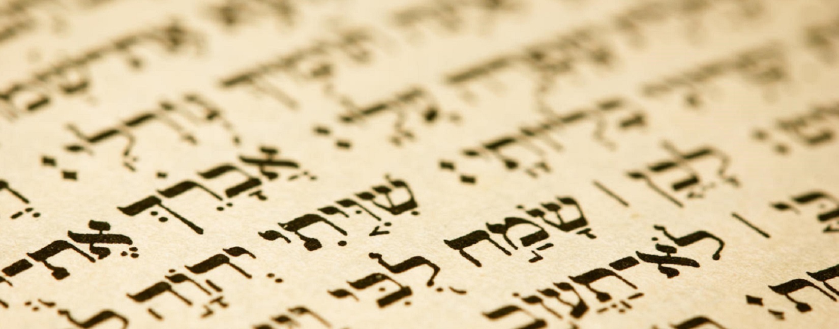 Introduction to Hebrew: An Ancient Language with a New Life Student