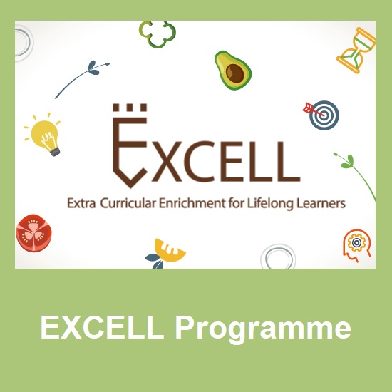 excell-banner