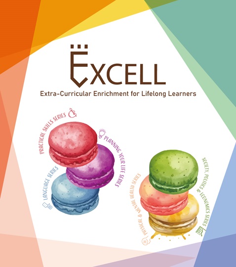 excell-956X1080