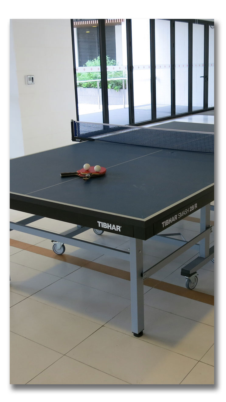 table-tennis2