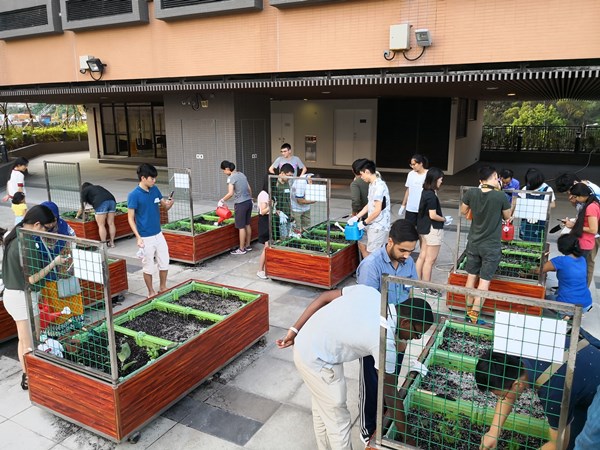 Urban_Farming__Green_Cooking_1