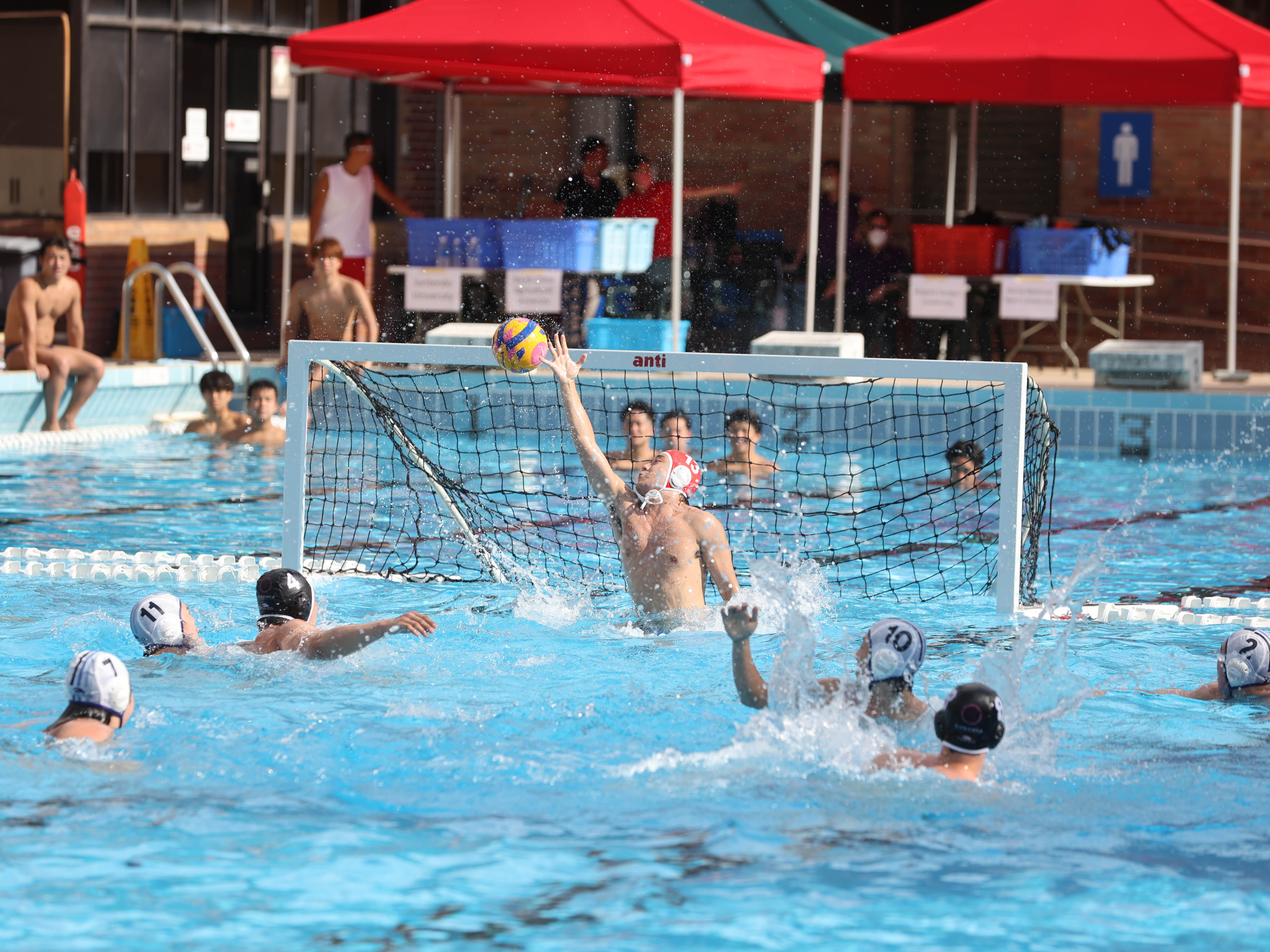 Competition Preliminary round-8