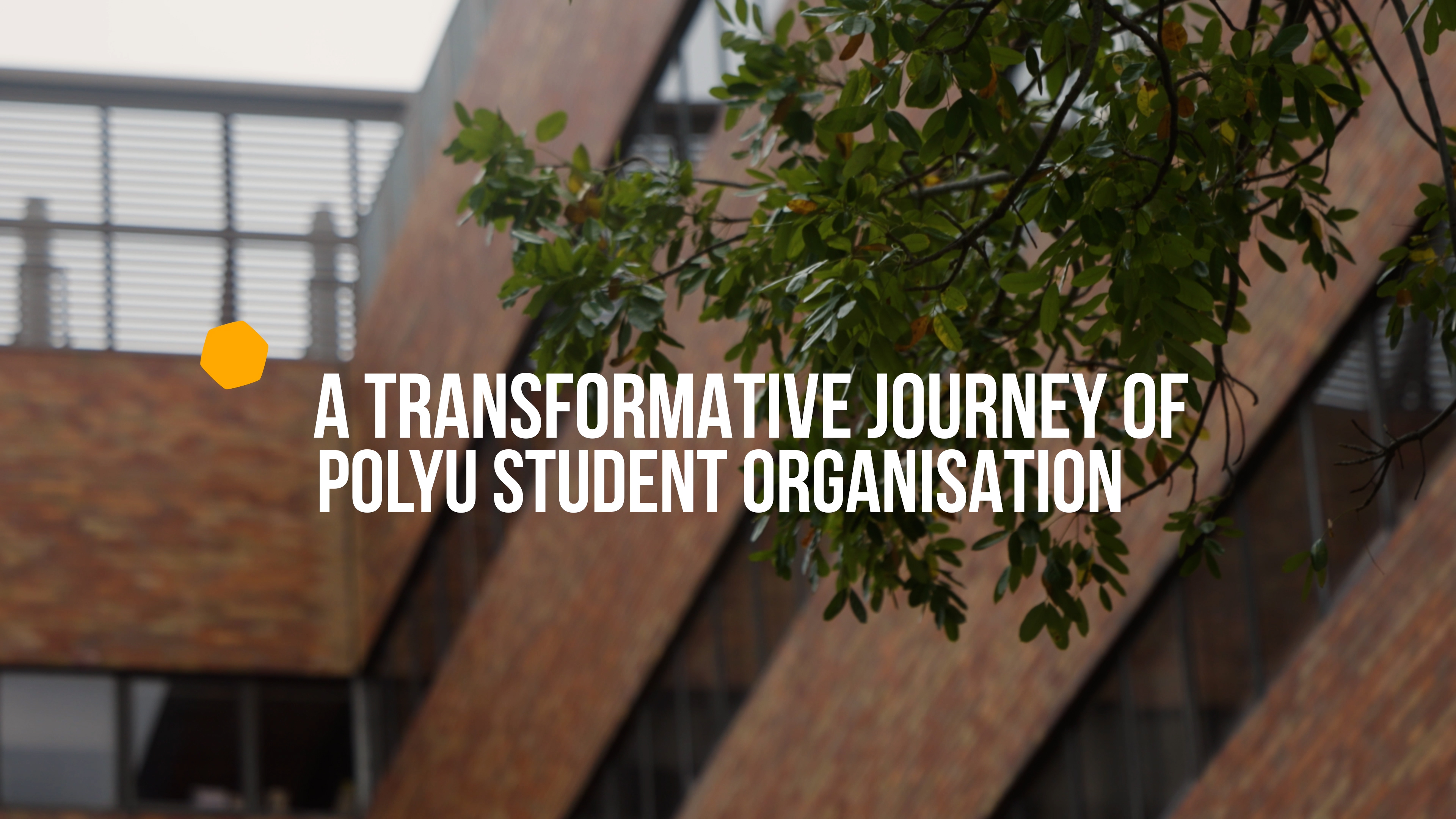 Interview highlight Cover