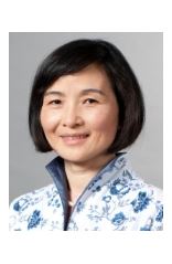 Prof. Dr.-Ing. Liqiu Meng