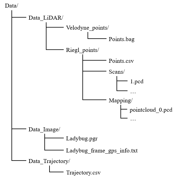 Dataset Structure