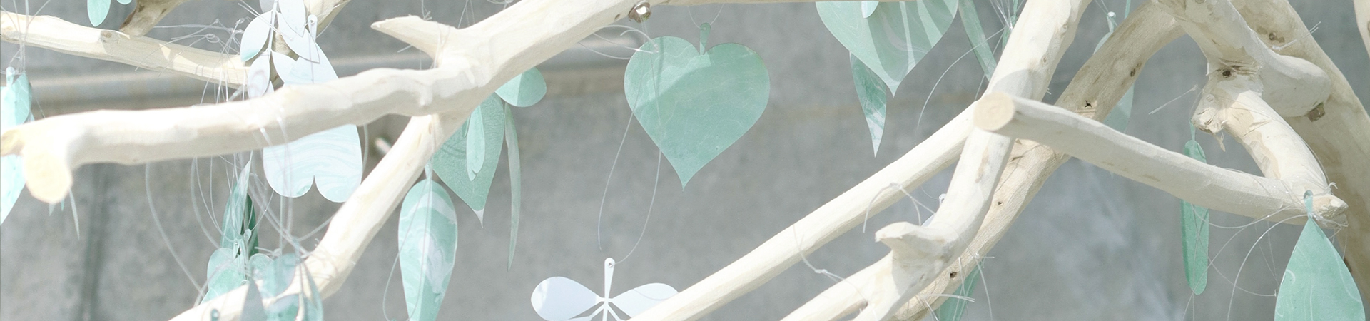 img_progsycd_23_1920x450