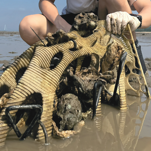 Images_Incubation-04