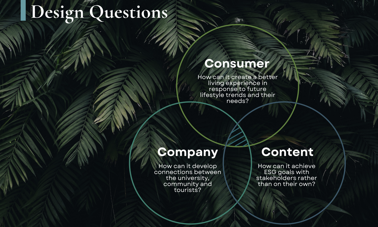 img_studShowcase_8_MDes_23_01_IBD_02