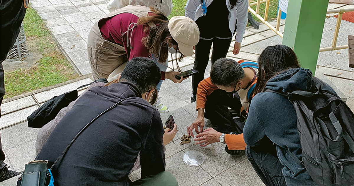 article_socialdesign1