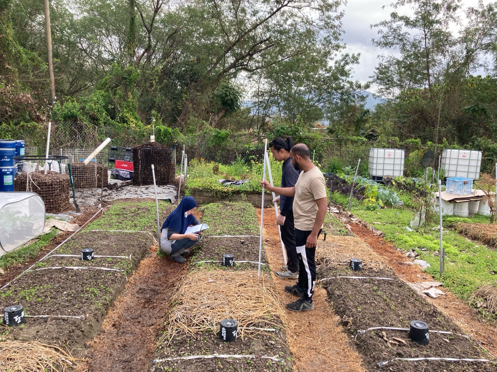 Don Norman Design Award 2024_planting_2