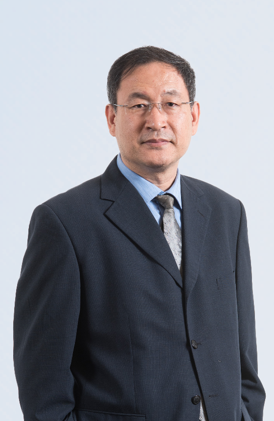 Ir Professor Ming ZHANG
