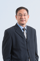 Ir Prof. Ming Zhang