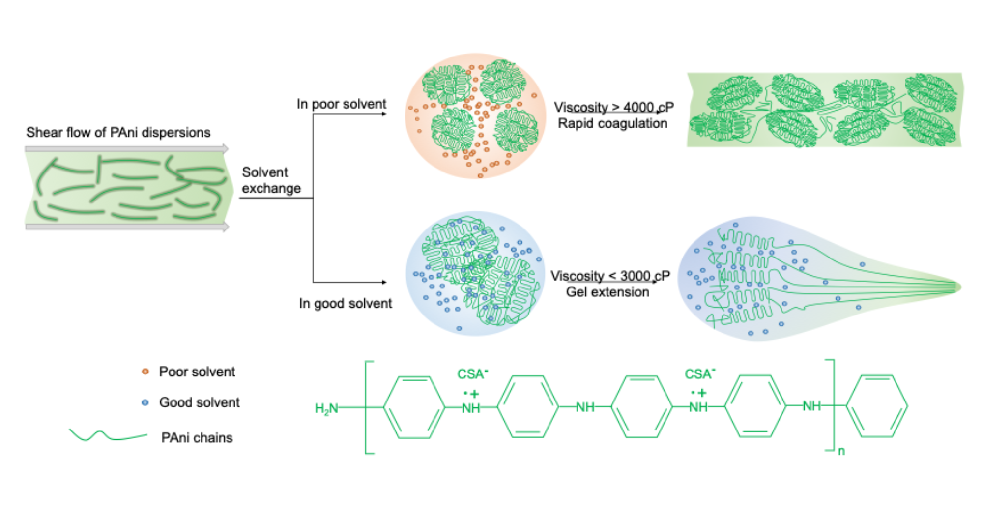 0506 Prof Tao research1