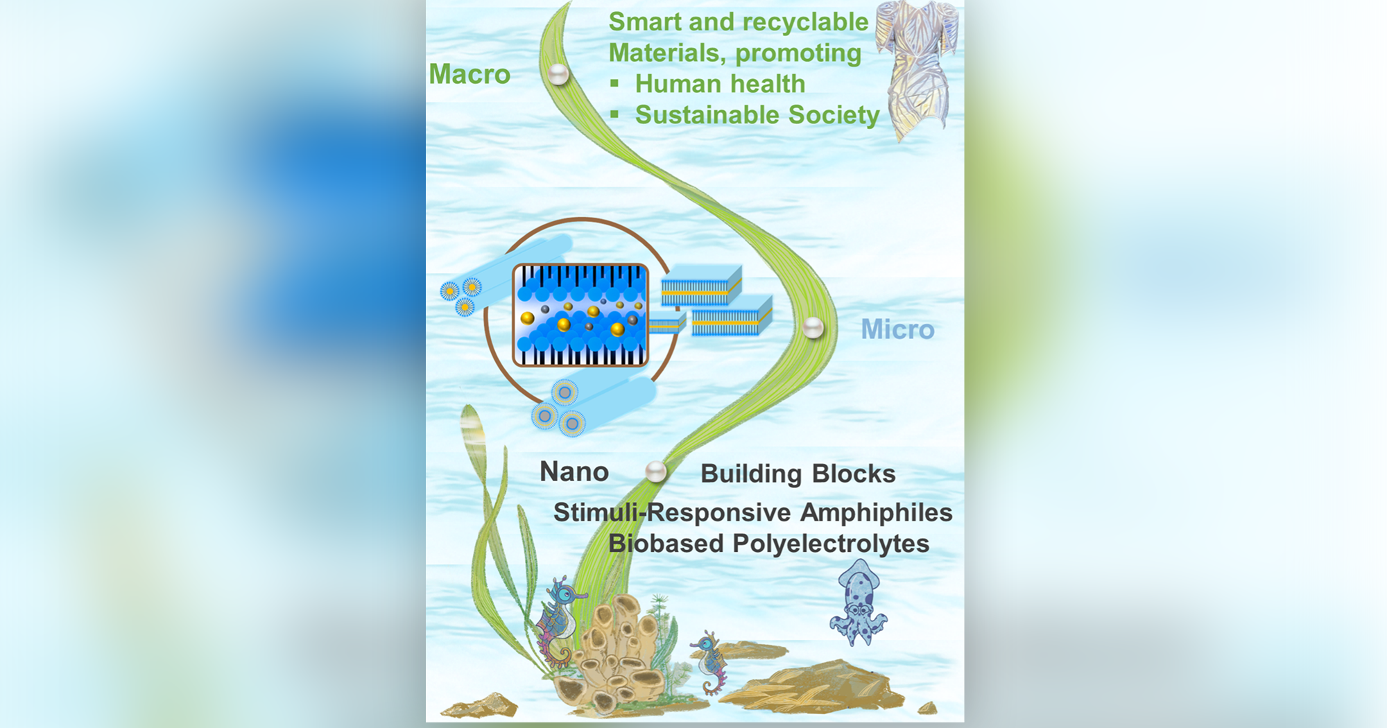 20240523 chen shaoyu_YIRA2024_1