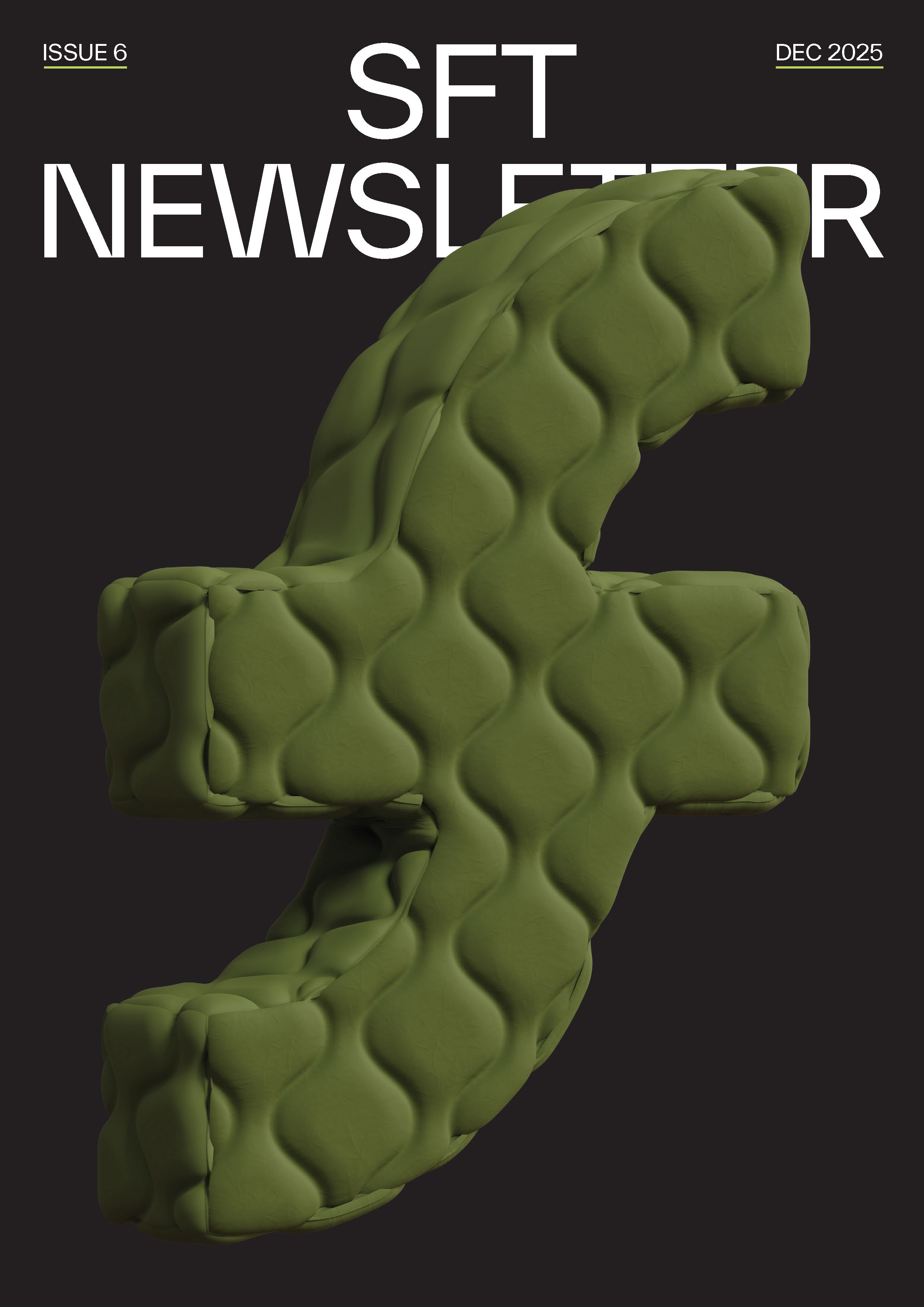 SFT_Newsletter-Issue6