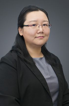 Prof. Nan Chen