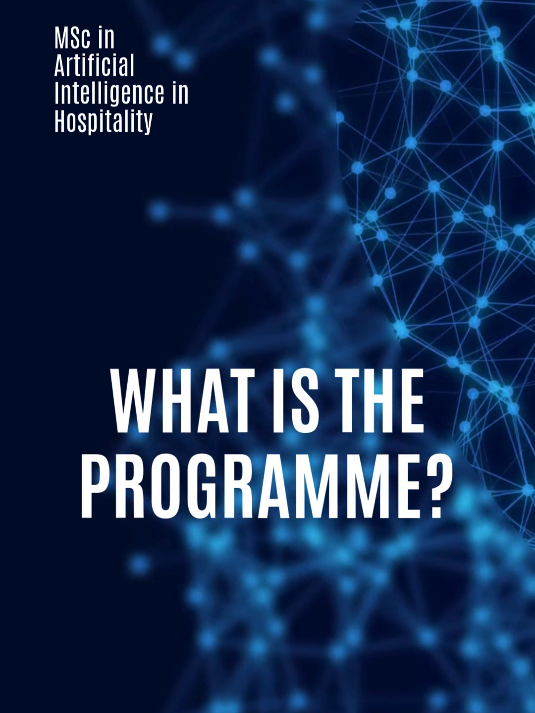 vlcsnap-2025-12-24-12h08m19s116