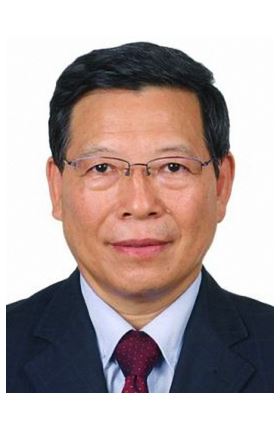 Prof. Manchao HE