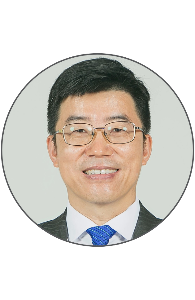 Prof Limin ZHANG