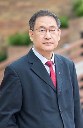 Ir Prof. Ming Zhang