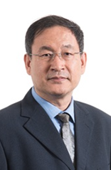 Ir Prof. M. Zhang