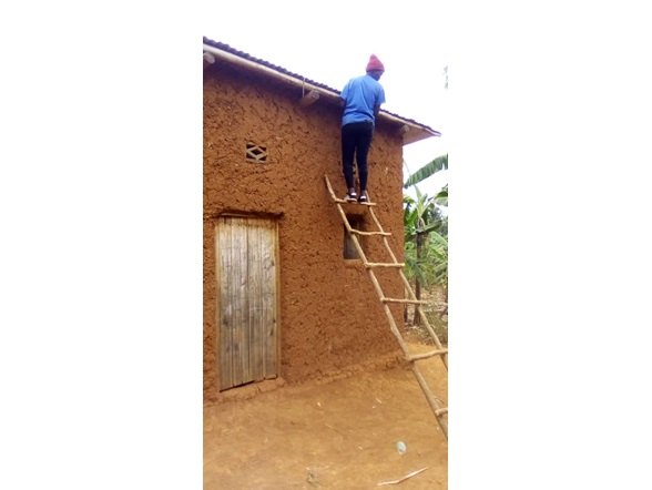 Rwandan groupmates wiring a household