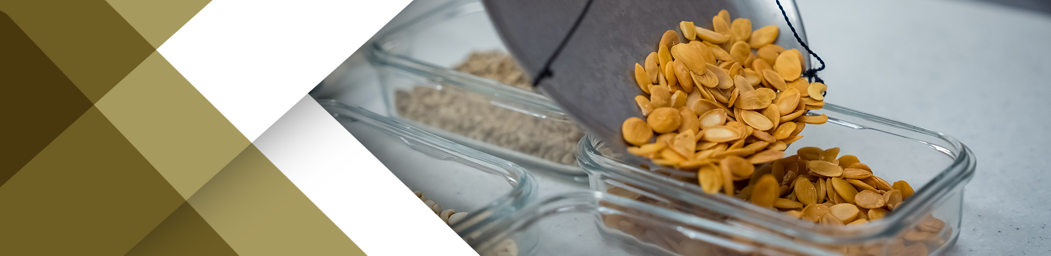 TCM-Nursing-Breadcrumb-Banner