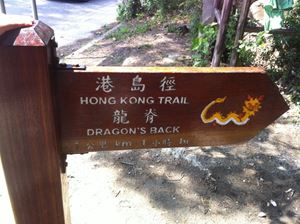 14859444_1579034915447345_525734130_o