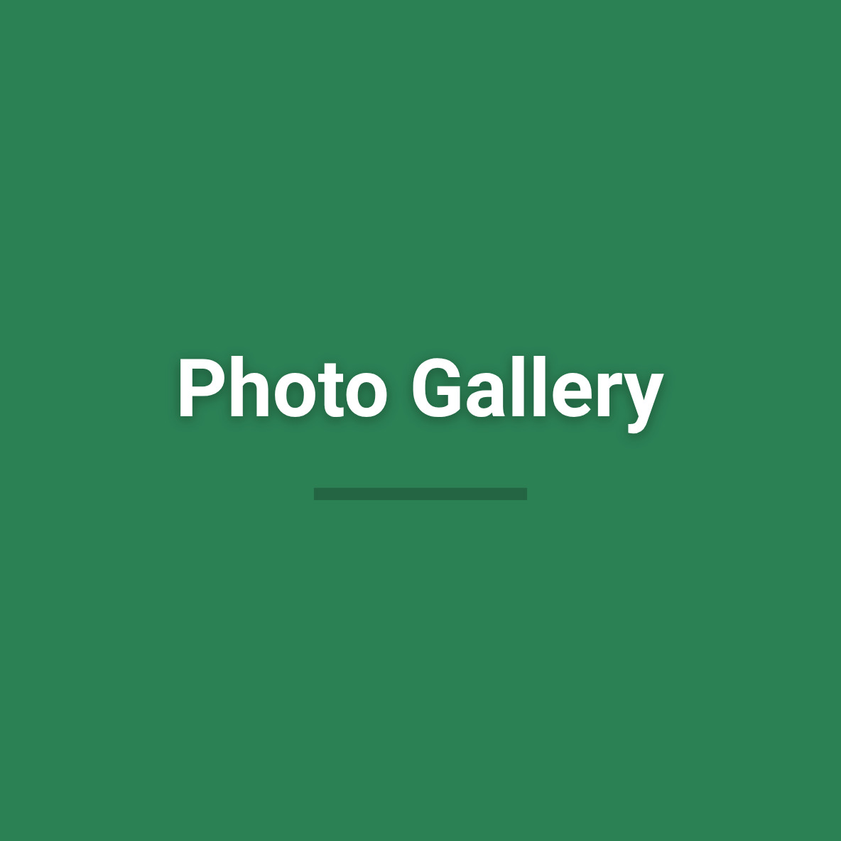 photo-gallery
