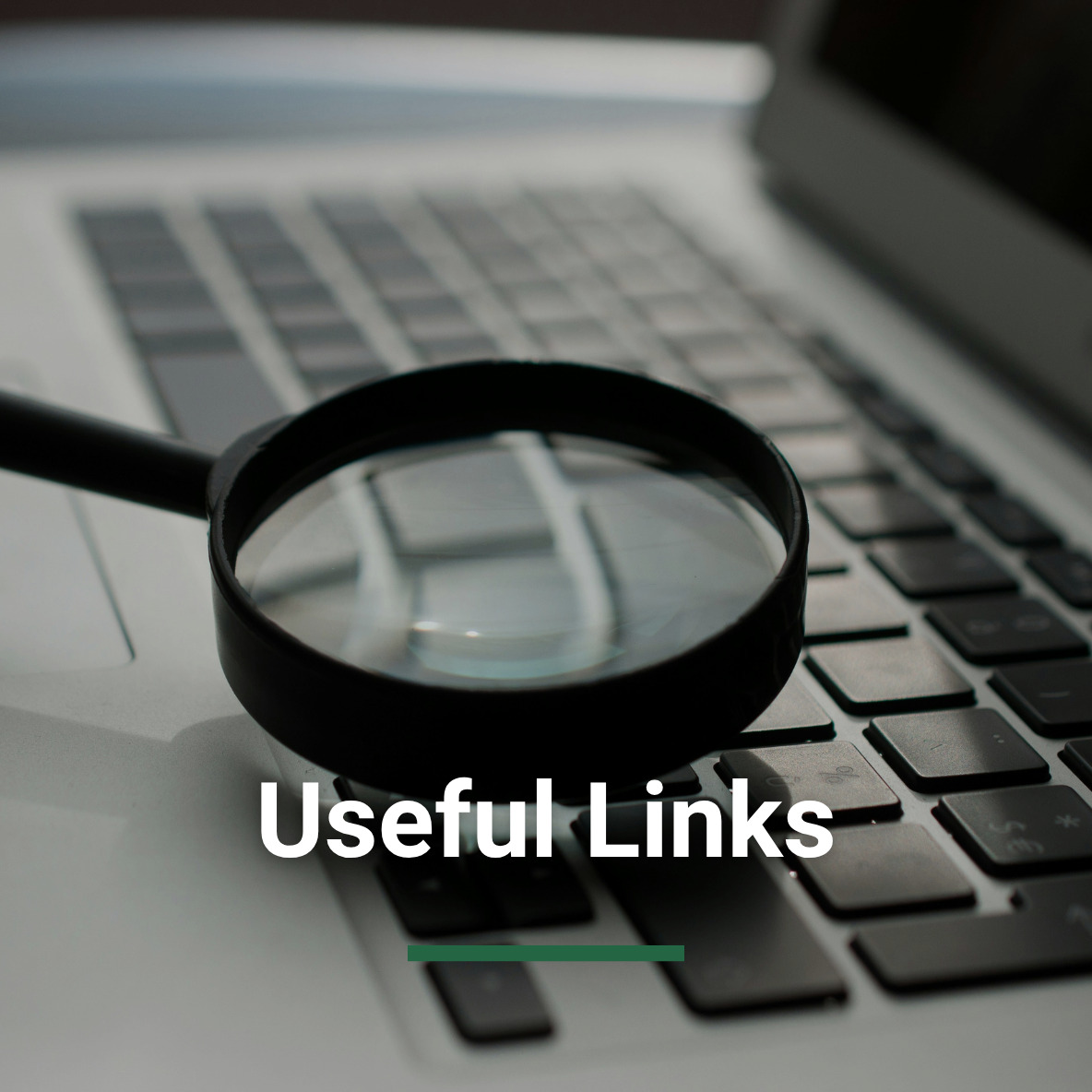 useful-links