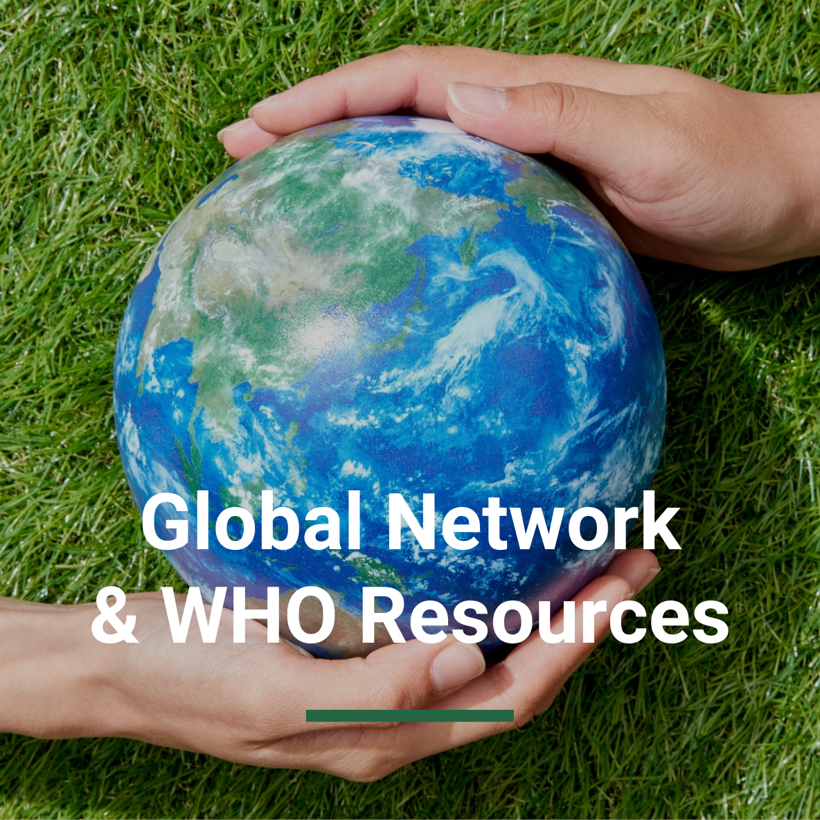 global-network-and-who-resources