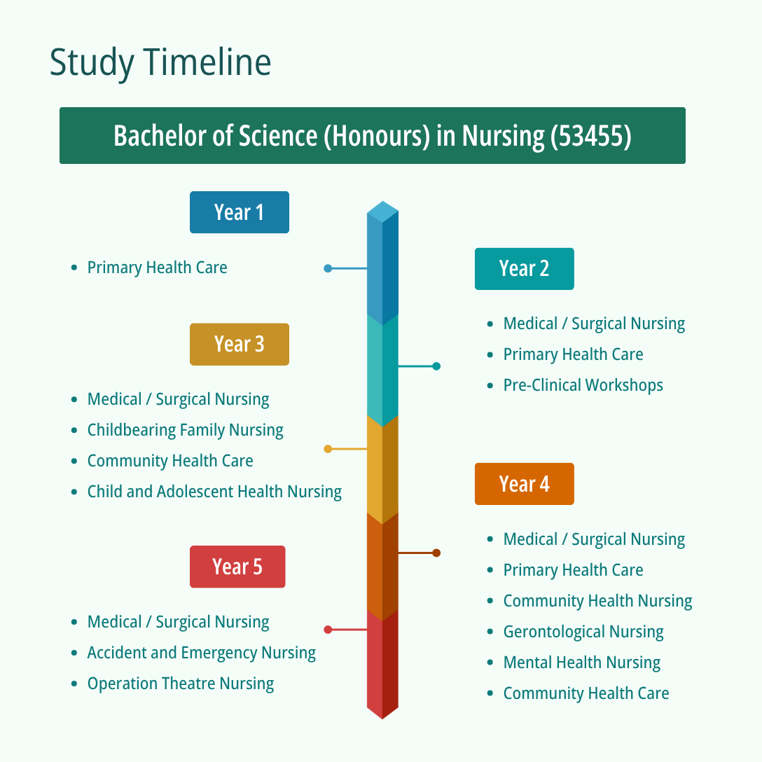 general-nursing-study-timeline-v1-en