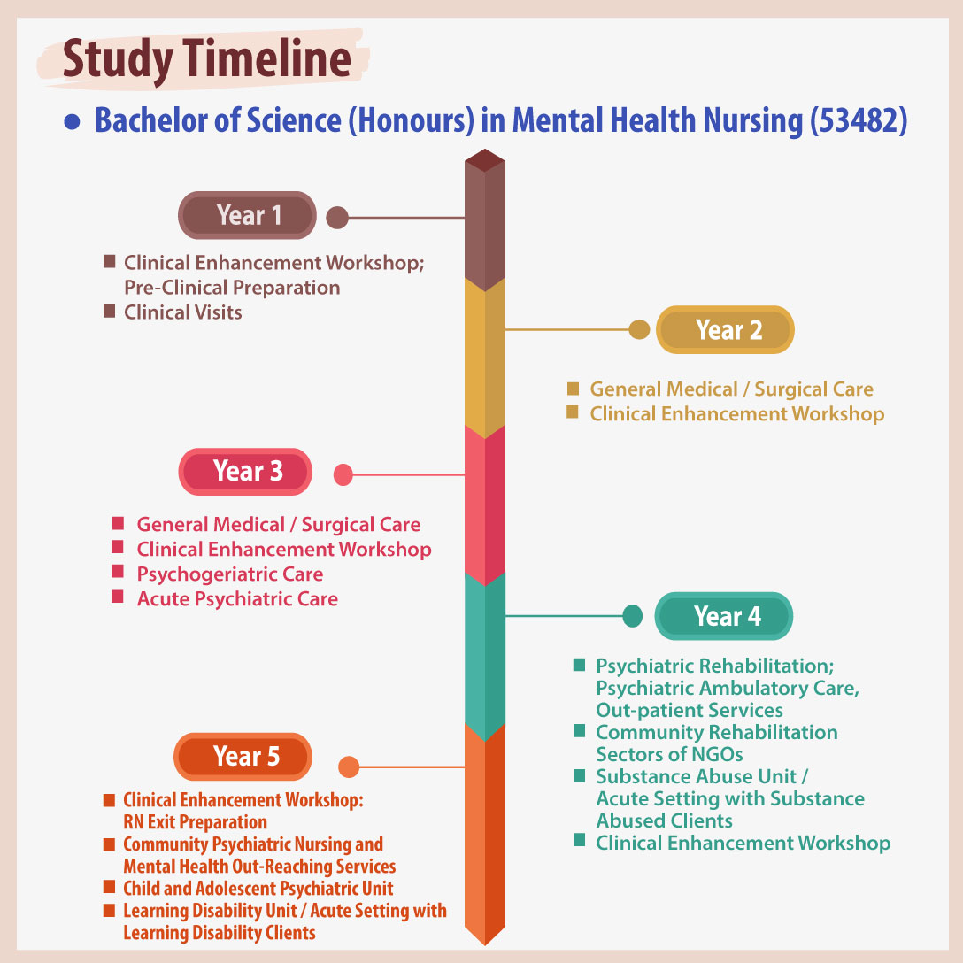 Study-Timeline-53482